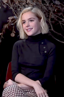 John Young Shipka