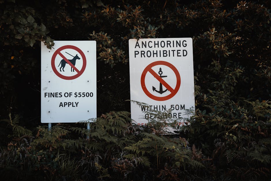 How NZ Industries Meet New Environmental Standards