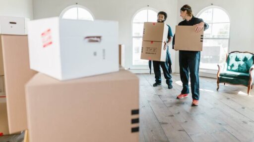 Move With Confidence: Professional Furniture Movers from Auckland to Wellington