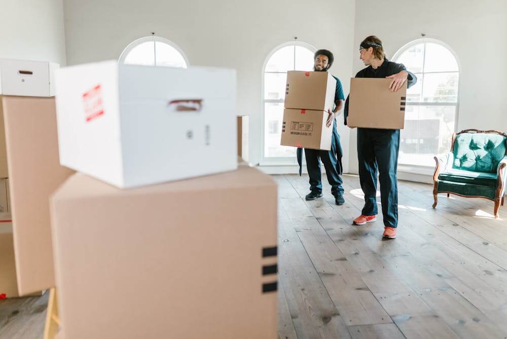 Move With Confidence: Professional Furniture Movers from Auckland to Wellington